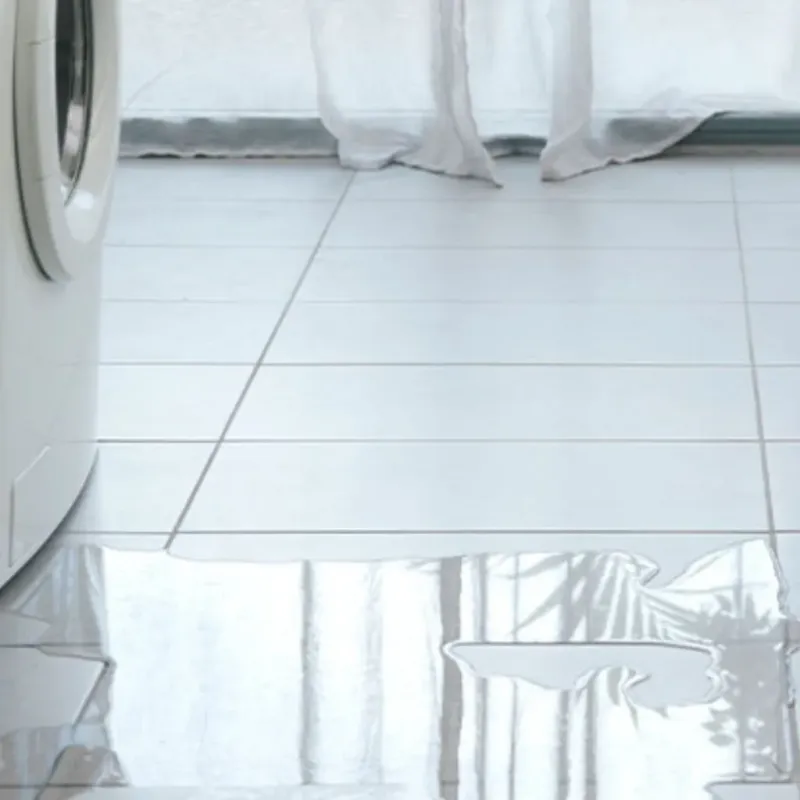 Appliance Leak Cleanup in Danville, KY