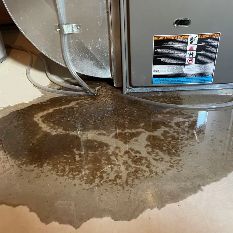 Pipe Burst and Leak Restoration in Danville, KY